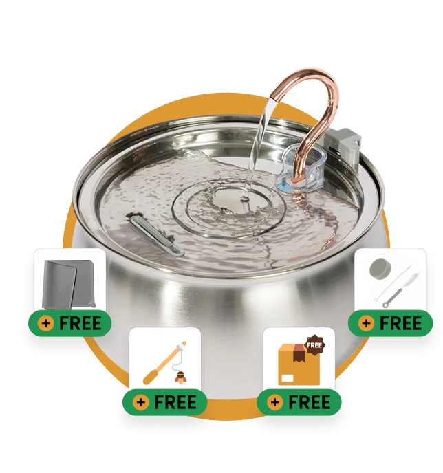 Fontaine à eau intelligente 4 L pour chat – Eau fraîche et filtrée 24h/24 et 7j/7